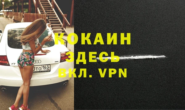 прущие грибы Богородск