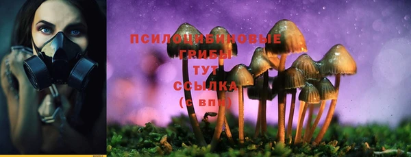 прущие грибы Богородск