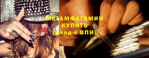 прущие грибы Богородск