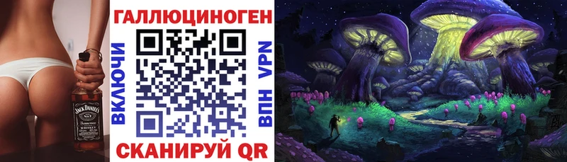 что такое наркотик  Кувшиново  Псилоцибиновые грибы Magic Shrooms 