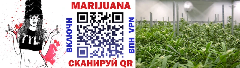 продажа наркотиков  Кувшиново  Бошки Шишки THC 21% 